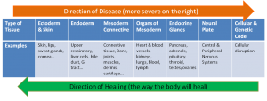 Direction of Disease from a Holistic point of view