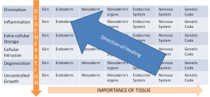 Direction of Healing in Holistic Medicine